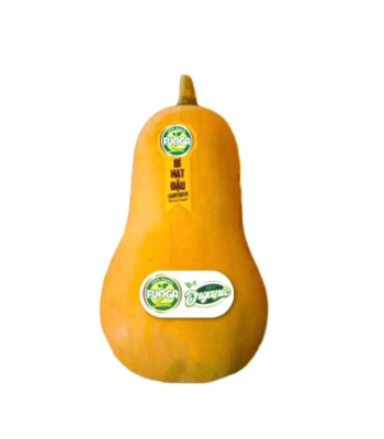 organic pumpkin fresh High Specification natural flavor using for food packing in carton made in Asian Manufacturer 8