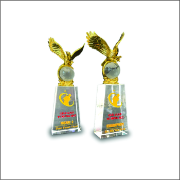 Acrylic Trophy Achievement Award Hot Selling Special Custom Gift Customized Packing From Vietnam Manufacturer Prize Trophies 5