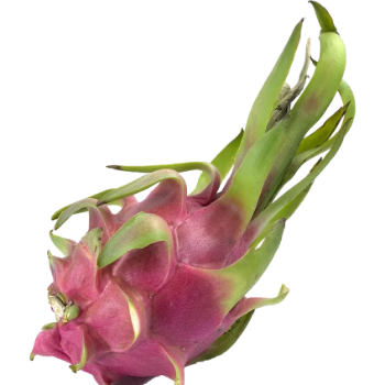 Vietnam Dragon Fruit Oem No Preservatives Making Food Export Carton Box Wooden Packaging Vietnam Manufacturer 3