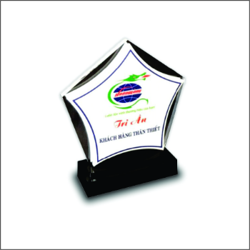 Acrylic Cutting Trophy High Specification Special Custom Business Vietnam Manufacturer Gift Customized Packing 7