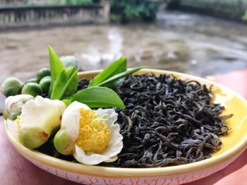 Whole Sale High Quality Hook Tea 100% Loose Tea Leaves From Fresh Tea Natural DBM Ready To Export Vietnam Manufacturer 7