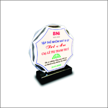 Acrylic Cutting Trophy High Specification Special Custom Business Gift Customized Packing Vietnam Logo Item 7