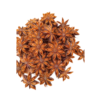 100% Organic Dried Broken Star Anise Single Spices & Herbs Anise Seed From Vietnam Manufacturer High Quality 7