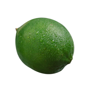 Hot Item Lime Without Seed Keep Cool Or Refrigerated Green And Pale Yellow Organic Packed In Box From Vietnam Manufacturer 4