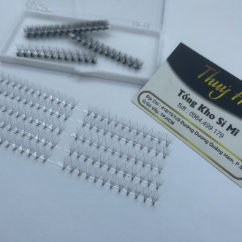 Thuy Ha Eyelashes Extension Mi Fan 6D Wire Cut Box 500 fans thickness 0.07 OEM ODM Service extension tool fan  3