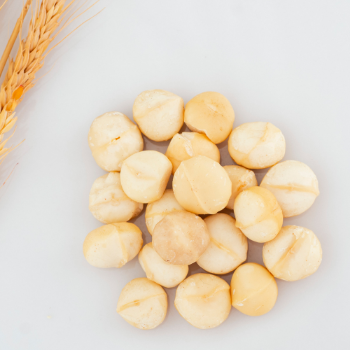 Macadamia Nuts Raw Organic High Quality ISO Certification Sesan Gia Lai Brand From Viet Nam 4