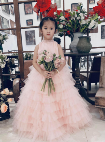 9 - Layer Luxury Princess Dresses Variety Beautiful Color using for Baby Girl Pack In Plastic Bag Hot Selling Made in Vietnam Manufacturer 7