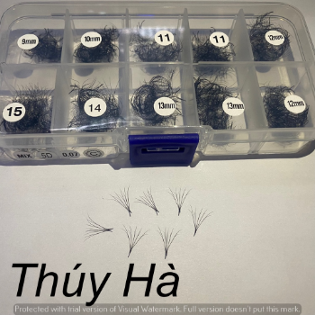 Thuy Ha Eyelashes Extension Eyelash FAN 5D MIX 1000 Fans OEM ODM Service extension tool fan 5