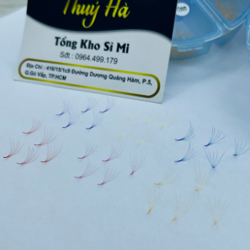 Thuy Ha Eyelashes Extension MI FAN 5D MIX COLORS OEM ODM Service extension tool fan 3