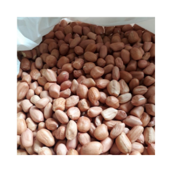 Good Quality Peanut Kernel 2024 Green Vina Ready To Use Oem Roasted From Vietnam Manufacturer 7