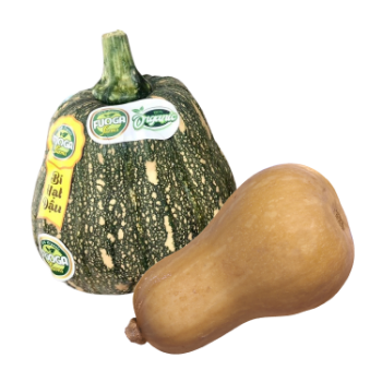 fresh pumpkin hard squash Wholesale natural flavor using for food packing in carton made in Vietnam Manufacturer 4