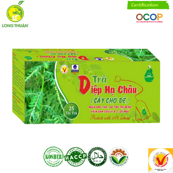 Diep Ha Chau Tea Tea Cups & Saucers Grapefruit Ingredients Slimming Tea Weight Loss From Viet Nam Manufacturer 3