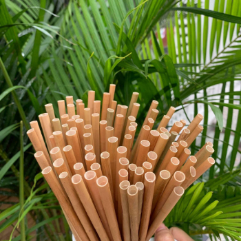 Dried eagle grass straws 15cm 100% natural grass eco-friendly product wholesale grass straw made in Vietnam
