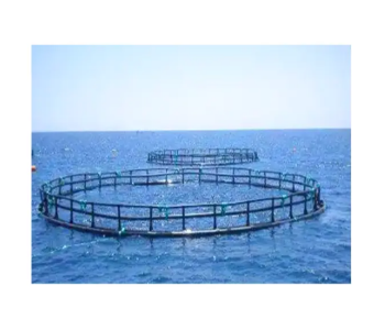 Hdpe Fish Cage Bracket Good Price Durable Aquaculture And Seafood Farms New Style Custom Size Vietnam Manufacturer 6