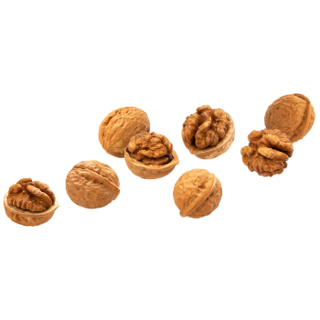 Best Selling Wholesale Walnuts Raw Walnut In Shell Walnuts Kernels Customized Packaging For Sale From Vietnam Manufacturer 8