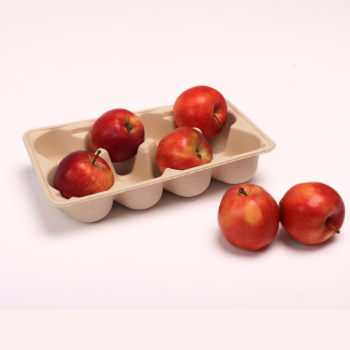 ECO-friendly pulp apple holder tray fruit packing Molded Pulp Tray Fruit Tray Packaging From Viet Nam Manufacturer 4