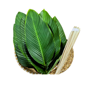 Dong Leaf Eco Friendly For Wrapping Banh Chung and Decorating Food For Food Stuff Replace To Plastic Bag Biodegradable Supplier 2