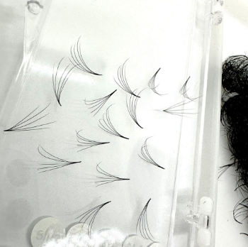 Camelia 5-20Mm Length Viet Nam Eyelash Extensions OEM Handmade Mink 3D 5D 7D  Packaging Tray Lash Box Manufacturer 3