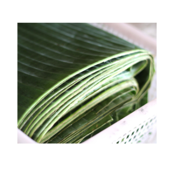 Fresh Banana Leaf For Food Stuff Replace To Plastic Bag Eco Friendly Biodegradable Supplier New Crop Made In Vietnam Bulk 5