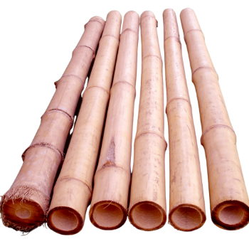 Long Bamboo Pole For Decoration Good Price Raw Material Friendly Ready Export Top Guaranteed Popular From Vietnam Thanh Long Company Manufacturer 1