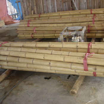 For Decoration Good Price Bamboo Pole Straight Raw Material Friendly Ready Export Top Guaranteed Popular From Vietnam Thanh Long Company Manufacturer 3