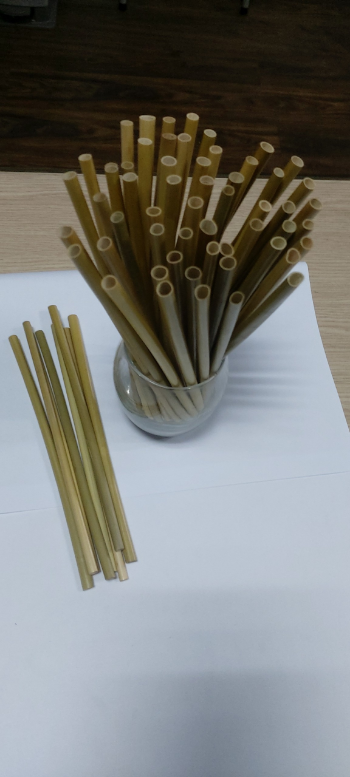 Innovative Compostable Eco-friendly 100% Premium Dried eagle grass straws 25cm in Vietnam 5