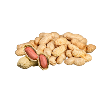 Peanuts Low Calorie Delicious Food Vinagreen Tropical & Sub-Tropical Fruit Packing In Carton/ Mesh Made In Vietnam Bulk 4