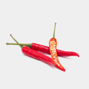 Spicy Taste Fresh Chili Non Toxic Premium High Grade Fresh Chilli Support Low MOQ Ready Export Form Vietnam Manufacturer 1