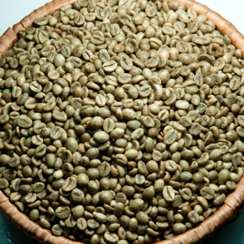 Green Bean Coffee Natural Color Feature 100% Organic Best Product Well-balanced Robusta Coffee Green Bean Coffee Natural Color 7