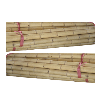 For Decoration Good Price Bamboo Pole Straight Raw Material Friendly Ready Export Top Guaranteed Popular From Vietnam Thanh Long Company Manufacturer 1