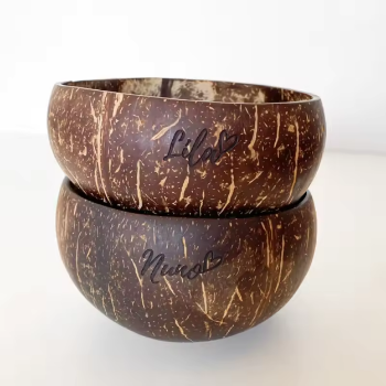 Handmade Eco-Friendly Best Price Natural Coconut Shell Bowl Dessert Cup Lacquered Inside Bowl 8