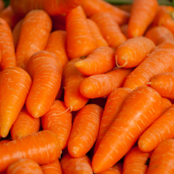 Fruit & Vegetable Products Good price Fresh Carrot Organic Follow the Customer's Request Made in Vietnam Manufacturer 4