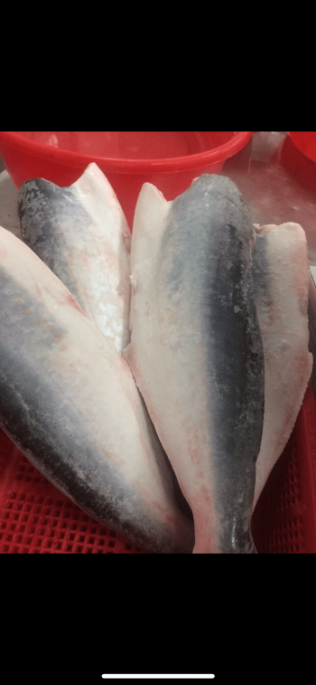 Pangasius HGT Wholesale Fresh Seafoods Used For Cooking HACCP Certification Customized Packing Vietnam Manufacturer 7