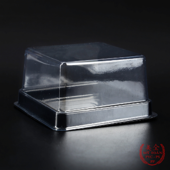 Cheap Price PET Tray Plastic Tray All Size Best Brand Manufacturer From Vietnam Top Grade Quality Low MOQ Hot Selling Vietnam Supplier 1