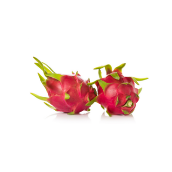 Fresh White Dragon Fruit Top Sale Delicious Using For Food Good Quality Packing In Carton Asian Manufacturer 4