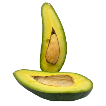 Whole Avocados Reasonable Price Viettropical Fruit For Export Us Haccp Customized Packaging From Vietnam Manufacturer 2