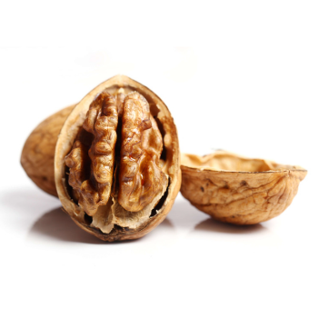 Wholesale Dry Fruits Walnuts Raw Walnuts Kernels Grade Sweet Taste For Sale Customized Packing From Vietnam Manufacturer 8