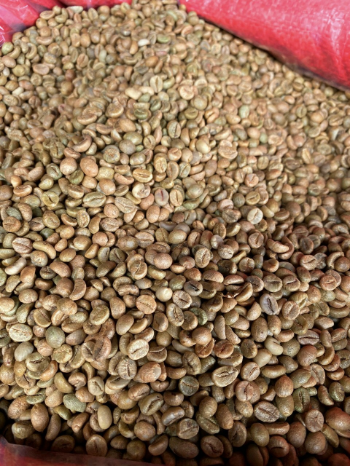 Vietnamese Robusta Coffee Good Quality Milling Essential Nutrients ISO220002018 60 kg bag Vietnamese Manufacturer 7