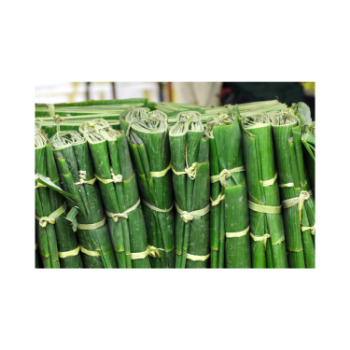 Fresh Banana Leaf For Food Stuff Replace To Plastic Bag Eco Friendly Biodegradable Supplier New Crop Made In Vietnam Bulk 4