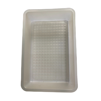 Plastic Packaging Good Customer Service Best Selling Food And Candy Trays Wholesale Ready To Export From Vietnam Manufacturer 3