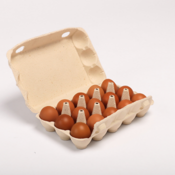 New Design Vietnam Hot selling paper pulp molding paper tray Molded Pulp Tray Egg Product Packaging Made In Vietnam 1