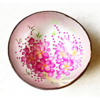 Hand Painted Rainbow Coconut Shell Bowl Wholesale Tropical Smoothie Bowl Vietnam Manufacturer 3