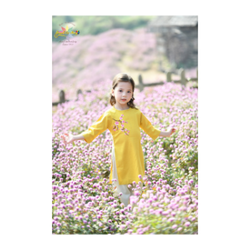 Vietnamese Ao Dai For Baby Girl Good Price Top Favorite Product Birthday Dress Lovely Pattern Packing In Carton Box 1