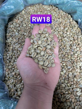 Robusta Coffee Green Bean Coffee Natural Color Natural Color Variety Of Price Best Product Packed In The Carton Box 100% Organic 1