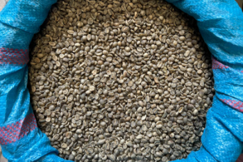 Moka Green Coffee Beans Arabica High Quality Organic Drinkable ISO220002018 60 kg/jute bag from Vietnam Manufacturer