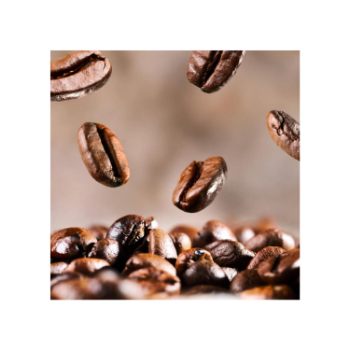 High Quality Robusta Coffee Bean Confectionary Products Natural Brown Roasted Customized Packaging Vietnam Manufacturer 7