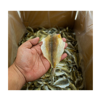 Dried Fish From Viet Nam Yellow Croaker Fish Cheap Price Export Ly Huynh Tasty Vacuum Pack From Vietnam Manufacturer 4