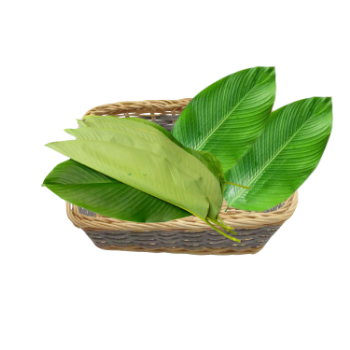 Dong Leaf Eco Friendly For Wrapping Banh Chung and Decorating Food For Food Stuff Replace To Plastic Bag Biodegradable Supplier 3