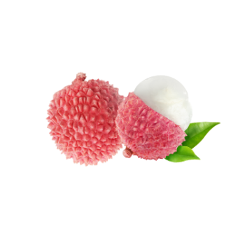 Fresh Lychee Low Calorie Delicious Food Vinagreen Tropical & Sub-Tropical Fruit Packing In Carton/ Mesh Made In Vietnam Bulk 3