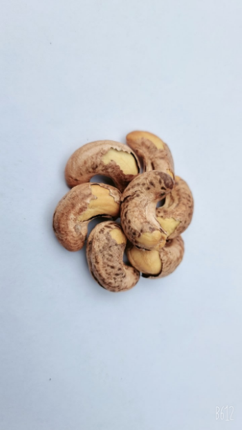 Cashew Nuts A1 Good Price Organic Nuts Using For Food Fresh Cashew Nuts With Salt Packaging Carton & Vacuum PE Made In Vietnam 1